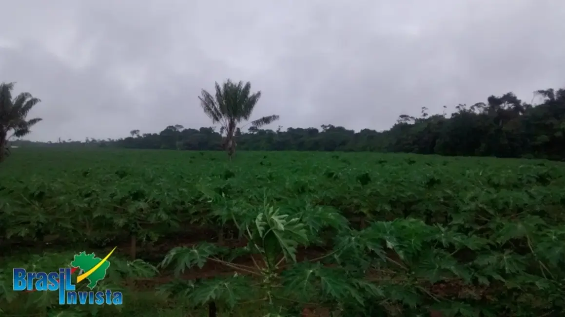 Foto 9 de Fazenda / Haras à venda, 1442m2 em Santa Cruz Cabralia - BA