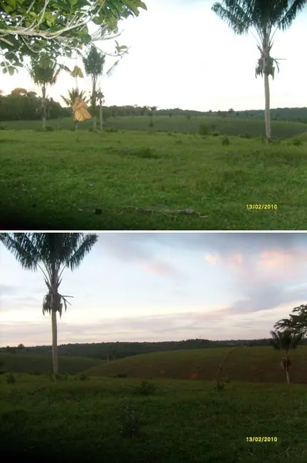 Foto 4 de Fazenda / Haras à venda, 1442m2 em Santa Cruz Cabralia - BA