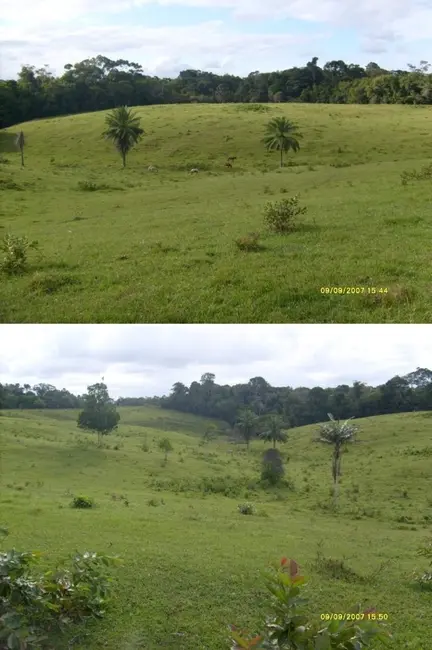 Foto 3 de Fazenda / Haras à venda, 1442m2 em Santa Cruz Cabralia - BA