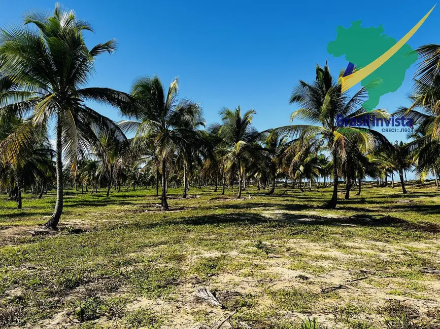Foto 8 de Terreno / Lote à venda em Porto Seguro - BA