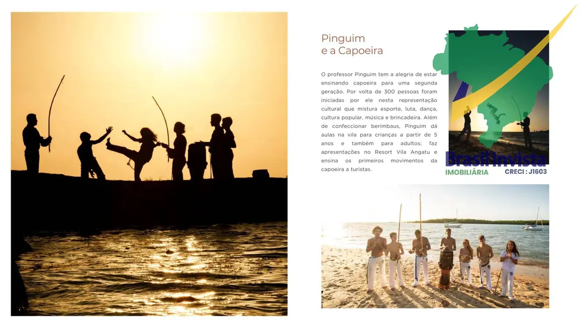 Terreno / Lote à venda, 8001500m2 em Santa Cruz Cabralia - BA - imagem 6 Foto 6 de Terreno / Lote à venda, 8001500m2 em Santa Cruz Cabralia - BA