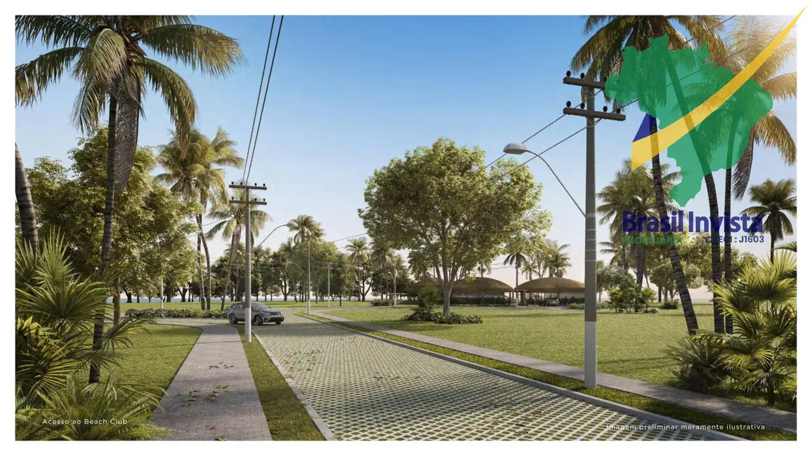 Terreno / Lote à venda, 8001500m2 em Santa Cruz Cabralia - BA - imagem 8 Foto 8 de Terreno / Lote à venda, 8001500m2 em Santa Cruz Cabralia - BA