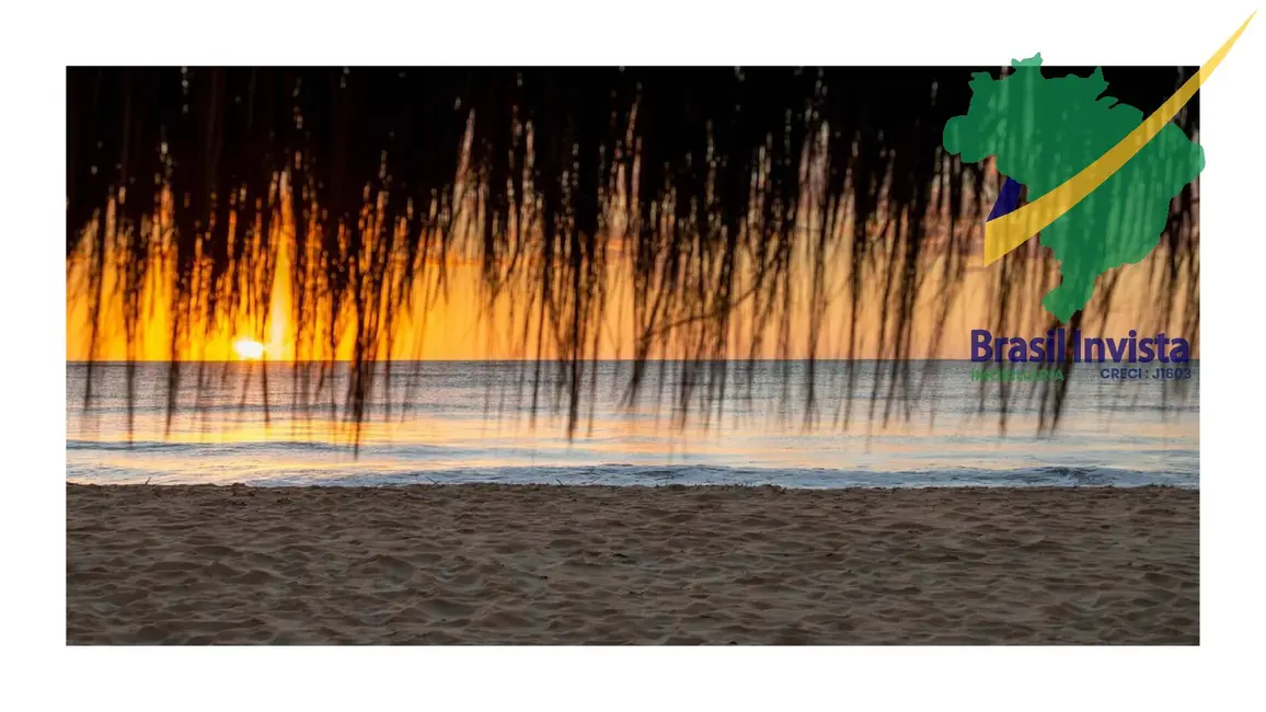 Terreno / Lote à venda, 20000m2 em Santa Cruz Cabralia - BA - imagem 3 Foto 3 de Terreno / Lote à venda, 20000m2 em Santa Cruz Cabralia - BA