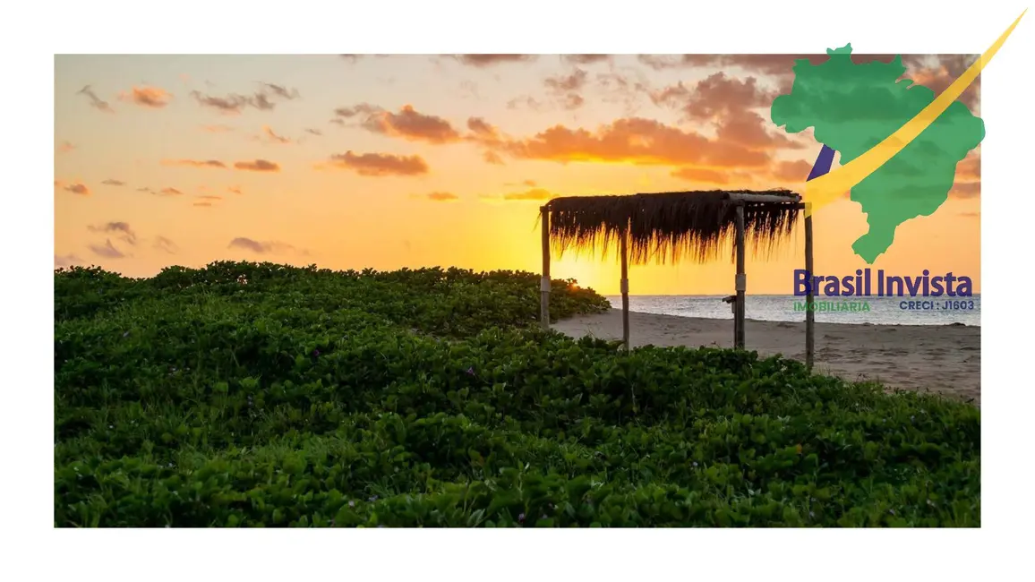 Terreno / Lote à venda, 20000m2 em Santa Cruz Cabralia - BA - imagem 7 Foto 7 de Terreno / Lote à venda, 20000m2 em Santa Cruz Cabralia - BA