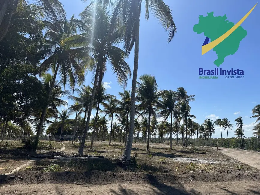 Terreno / Lote à venda, 300m2 em Santa Cruz Cabralia - BA - imagem 9 Foto 9 de Terreno / Lote à venda, 300m2 em Santa Cruz Cabralia - BA