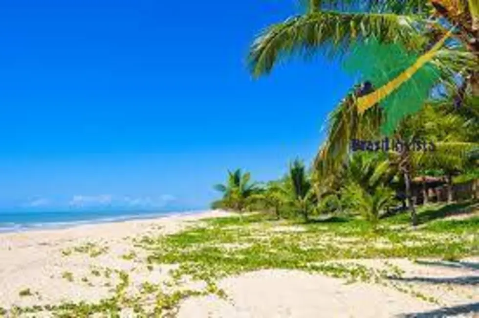 Foto 3 de Sala Comercial à venda, 10000m2 em Porto Seguro - BA