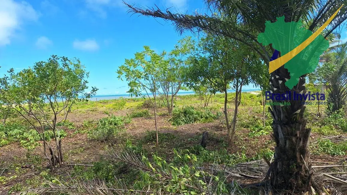 Foto 4 de Terreno / Lote à venda, 320000m2 em Santa Cruz Cabralia - BA