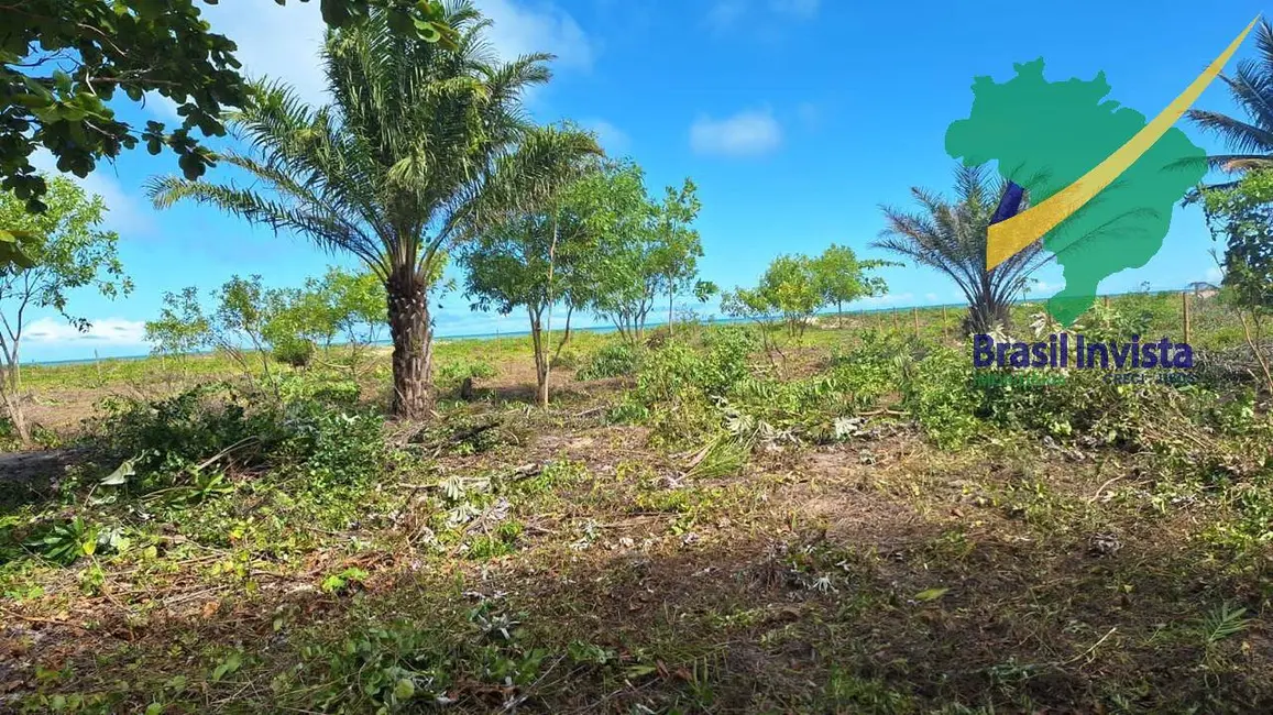 Foto 8 de Terreno / Lote à venda, 320000m2 em Santa Cruz Cabralia - BA