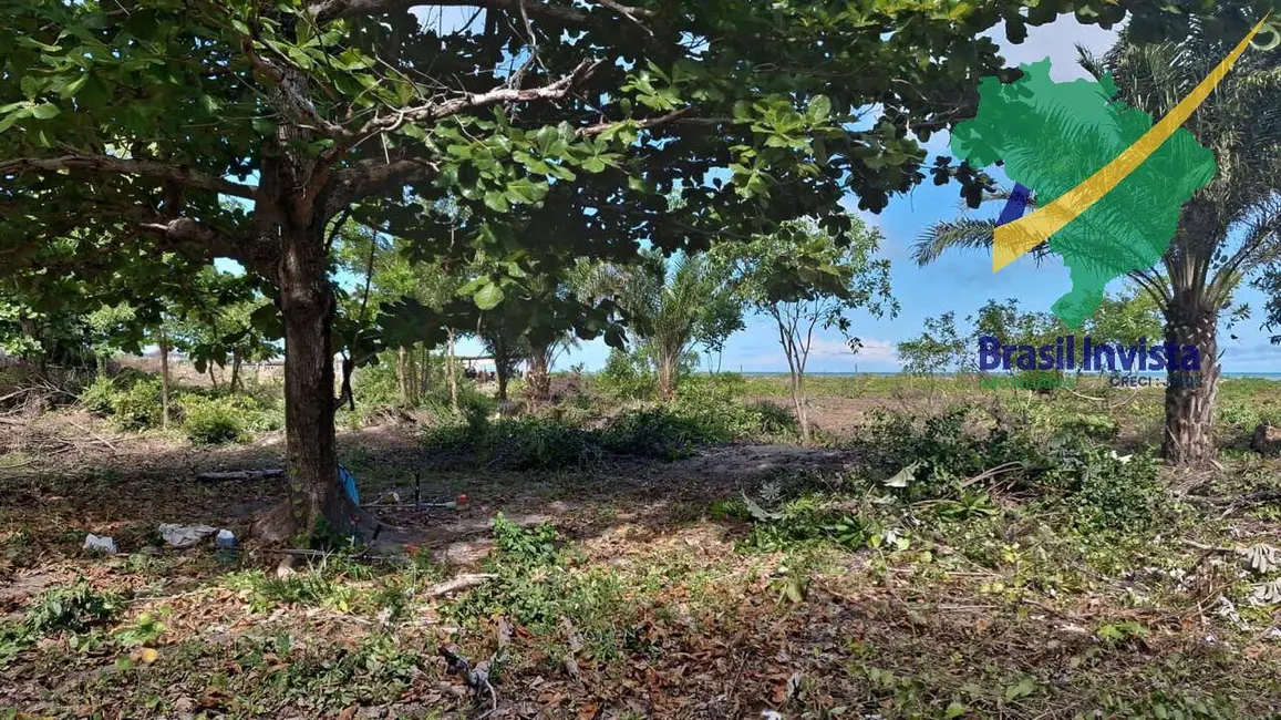 Foto 3 de Terreno / Lote à venda, 320000m2 em Santa Cruz Cabralia - BA