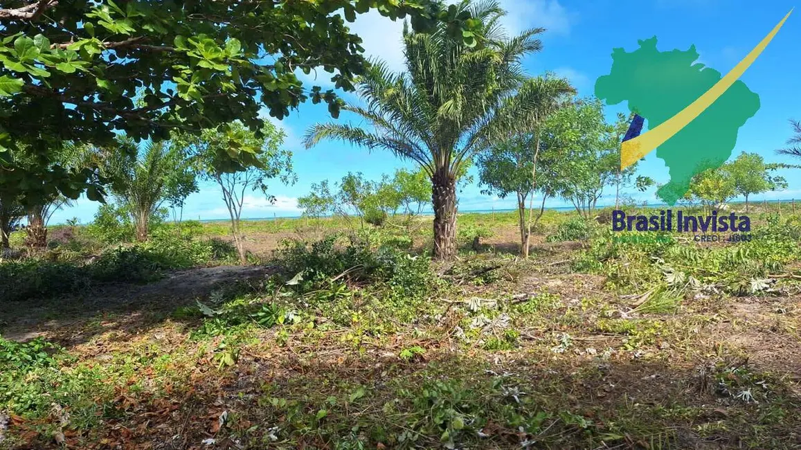 Foto 1 de Terreno / Lote à venda, 320000m2 em Santa Cruz Cabralia - BA