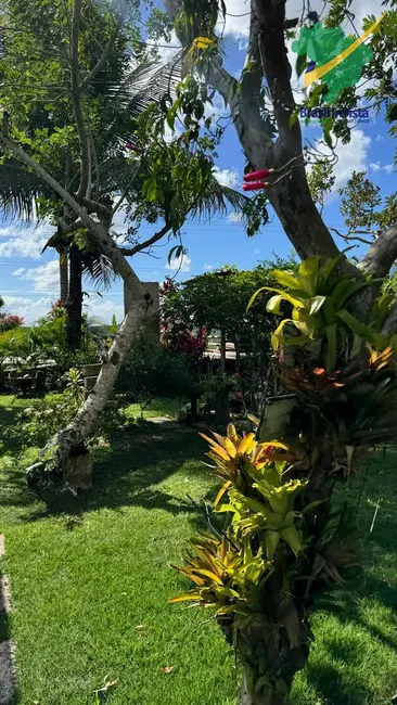 Foto 8 de Chácara com 4 quartos à venda, 6200m2 em Porto Seguro - BA