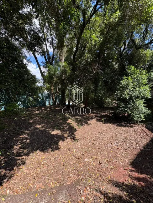 Foto 5 de Terreno / Lote à venda, 490m2 em Santo Inácio, Santa Cruz Do Sul - RS