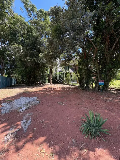 Foto 4 de Terreno / Lote à venda, 490m2 em Santo Inácio, Santa Cruz Do Sul - RS