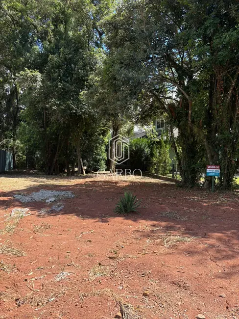 Foto 6 de Terreno / Lote à venda, 490m2 em Santo Inácio, Santa Cruz Do Sul - RS
