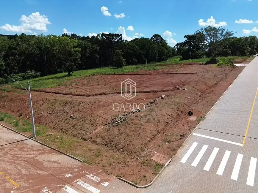 Foto 3 de Terreno / Lote à venda, 466m2 em Linha Santa Cruz, Santa Cruz Do Sul - RS