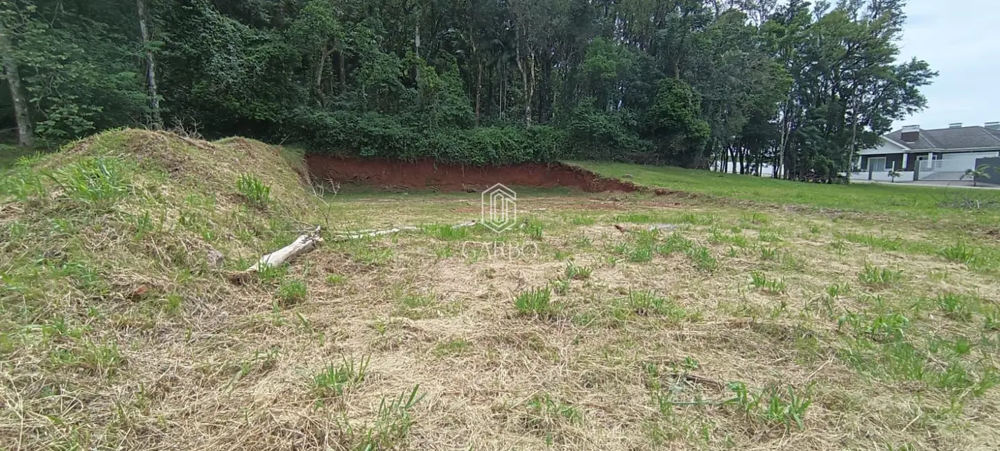 Foto 2 de Terreno / Lote à venda, 450m2 em Country, Santa Cruz Do Sul - RS