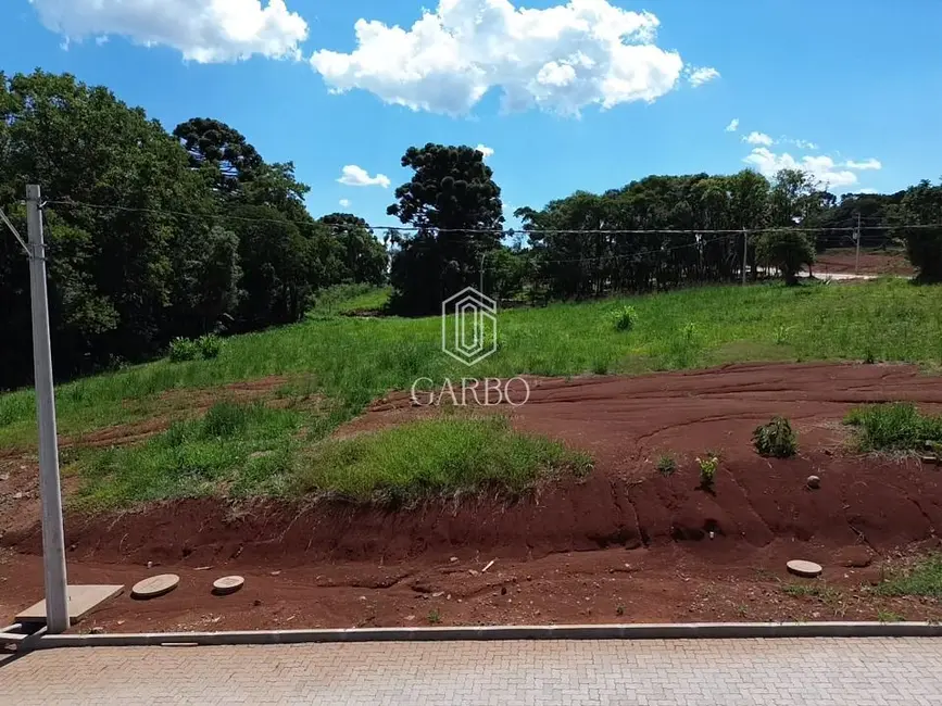 Foto 3 de Terreno / Lote à venda, 333m2 em Linha Santa Cruz, Santa Cruz Do Sul - RS