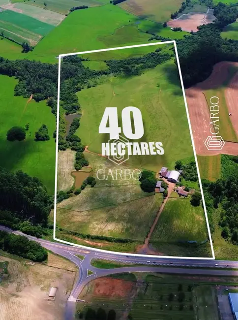 Foto 1 de Loja com 5 quartos à venda, 1626m2 em Rio Pardo - RS