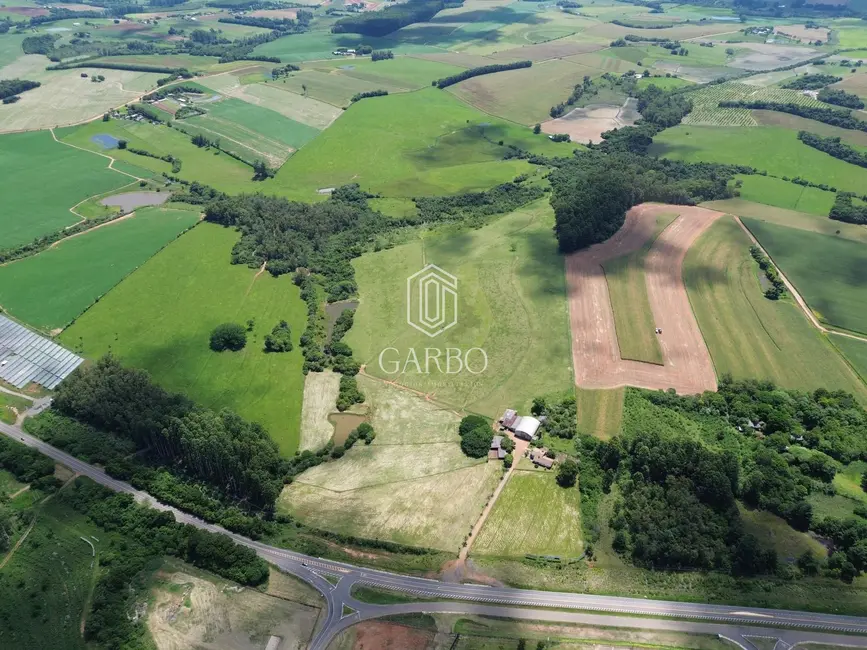 Foto 2 de Loja com 5 quartos à venda, 1626m2 em Rio Pardo - RS
