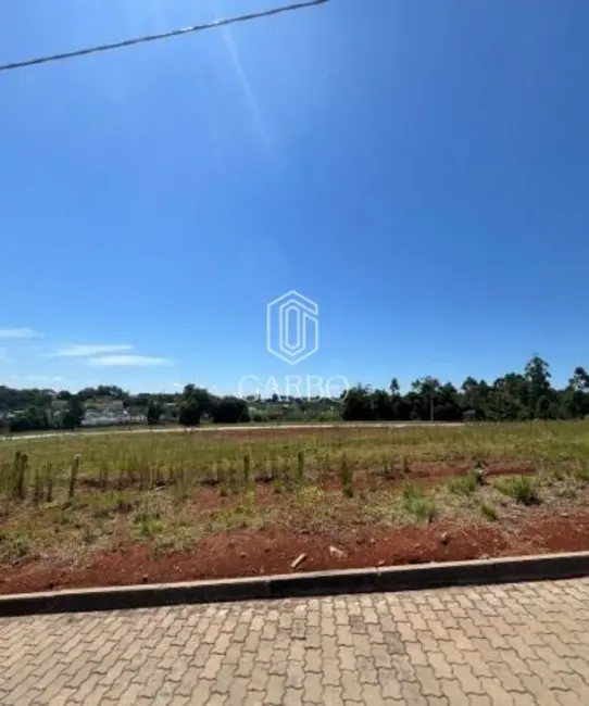 Foto 1 de Terreno / Lote à venda, 329m2 em Country, Santa Cruz Do Sul - RS