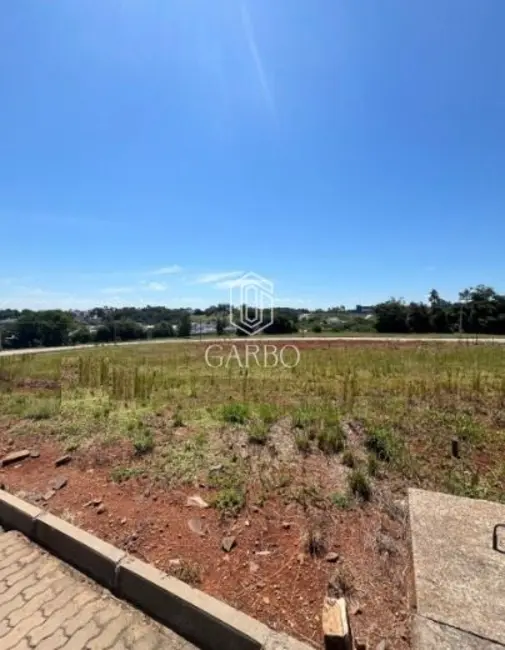 Foto 2 de Terreno / Lote à venda, 329m2 em Country, Santa Cruz Do Sul - RS