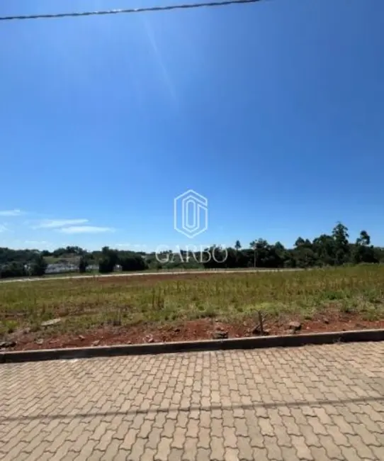 Foto 1 de Terreno / Lote à venda, 329m2 em Country, Santa Cruz Do Sul - RS