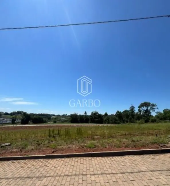 Foto 1 de Terreno / Lote à venda, 329m2 em Country, Santa Cruz Do Sul - RS