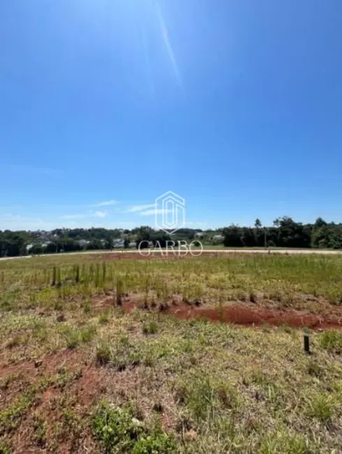 Foto 2 de Terreno / Lote à venda, 329m2 em Country, Santa Cruz Do Sul - RS