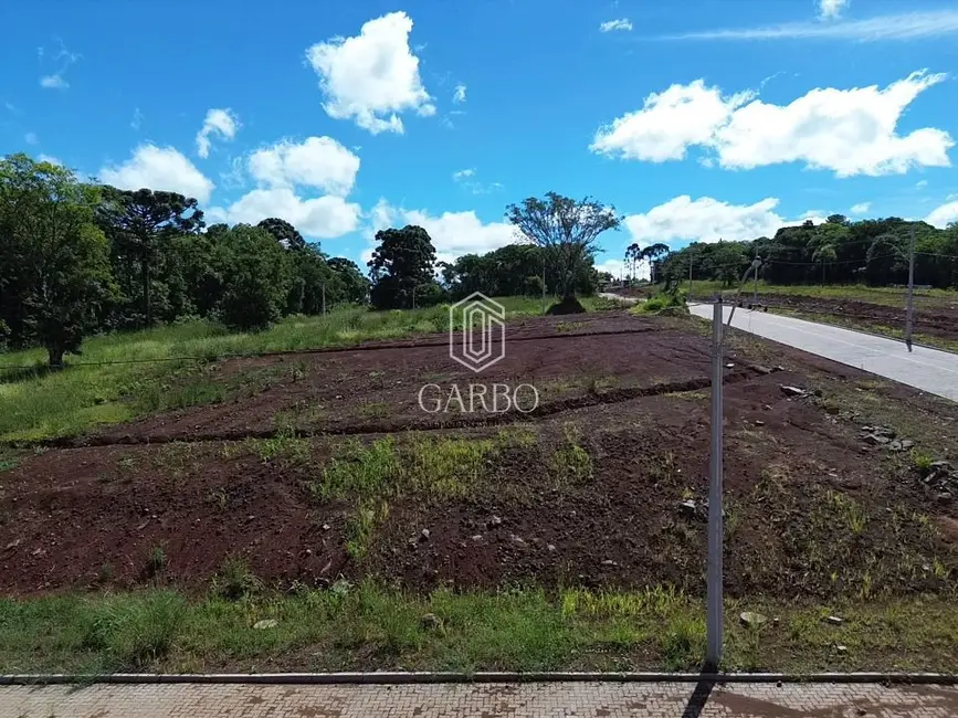 Foto 2 de Terreno / Lote à venda, 361m2 em Linha Santa Cruz, Santa Cruz Do Sul - RS