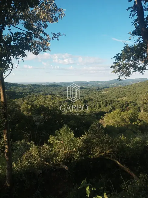 Foto 3 de Chácara com 1 quarto à venda, 25m2 em Linha Santa Cruz, Santa Cruz Do Sul - RS