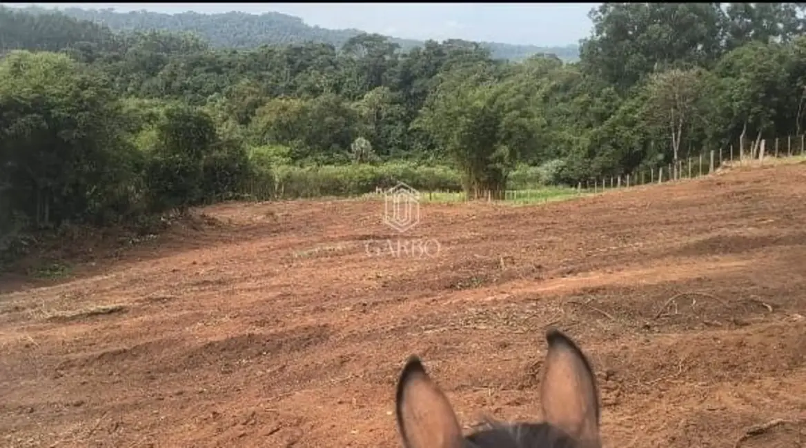 Foto 5 de Chácara com 1 quarto à venda, 25m2 em Linha Santa Cruz, Santa Cruz Do Sul - RS