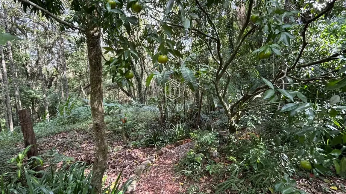 Foto 4 de Terreno / Lote à venda, 637m2 em Santo Inácio, Santa Cruz Do Sul - RS