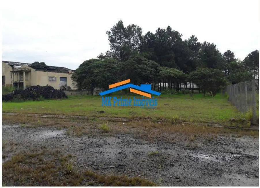 Foto 6 de Armazém / Galpão à venda, 8393m2 em Jardim Luana, Itaquaquecetuba - SP