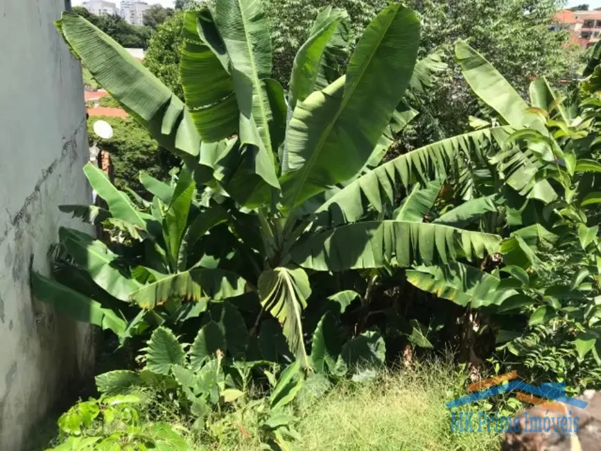 Terreno / Lote à venda, 272m2 em Jardim Bonfiglioli, São Paulo - SP - imagem 3 Foto 3 de Terreno / Lote à venda, 272m2 em Jardim Bonfiglioli, São Paulo - SP
