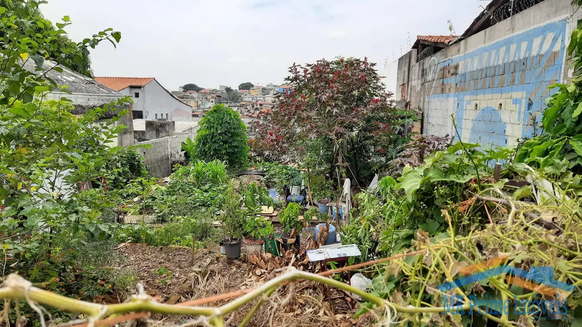 Foto 3 de Terreno / Lote à venda, 250m2 em Pestana, Osasco - SP