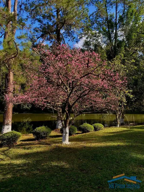 Foto 6 de Sítio / Rancho com 8 quartos à venda, 120000m2 em Juquitiba - SP