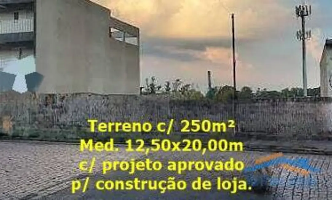 Foto 1 de Terreno / Lote para alugar, 250m2 em São Paulo - SP