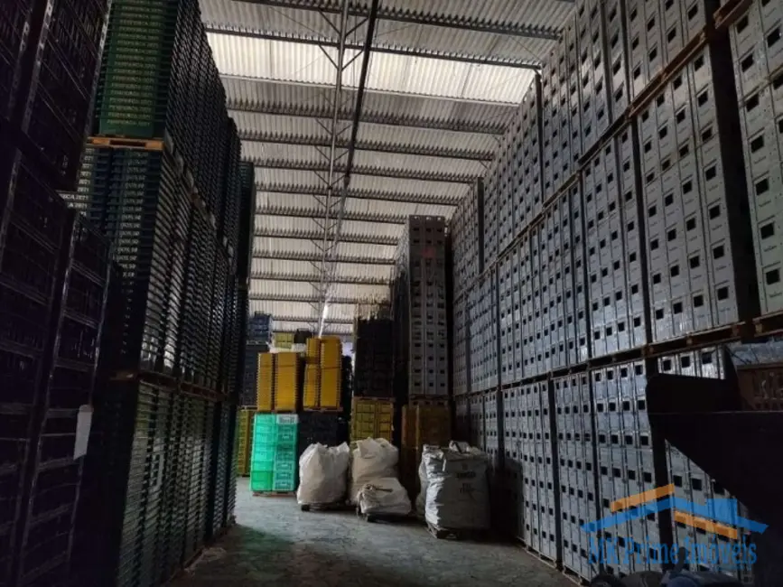 Foto 3 de Armazém / Galpão para alugar, 1953m2 em Remédios, Osasco - SP