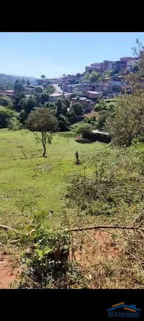 Foto 4 de Terreno / Lote à venda, 5034m2 em Jardim Professor Benoá, Santana De Parnaiba - SP