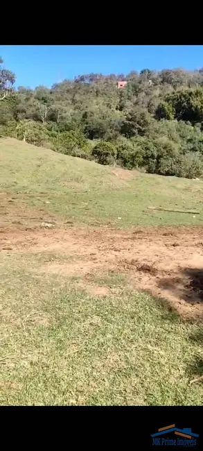 Foto 3 de Terreno / Lote à venda, 5034m2 em Jardim Professor Benoá, Santana De Parnaiba - SP