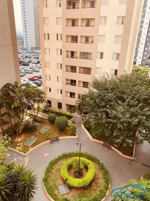 Foto 1 de Apartamento com 3 quartos à venda, 65m2 em Continental, Osasco - SP