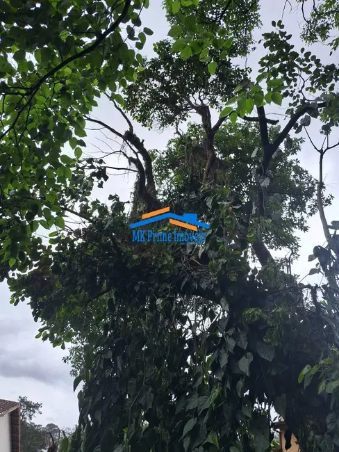 Foto 6 de Terreno / Lote à venda, 570m2 em Vila São Francisco, São Paulo - SP