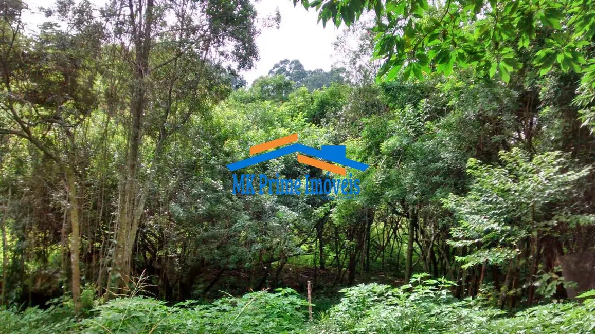 Lote de Condomínio à venda, 2000m2 em Chácara das Paineiras, Carapicuiba - SP - imagem 8 Foto 8 de Lote de Condomínio à venda, 2000m2 em Chácara das Paineiras, Carapicuiba - SP