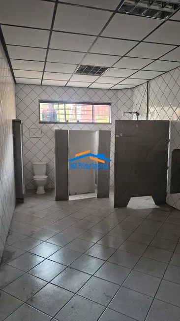 Foto 6 de Armazém / Galpão para alugar, 2400m2 em Piratininga, Osasco - SP