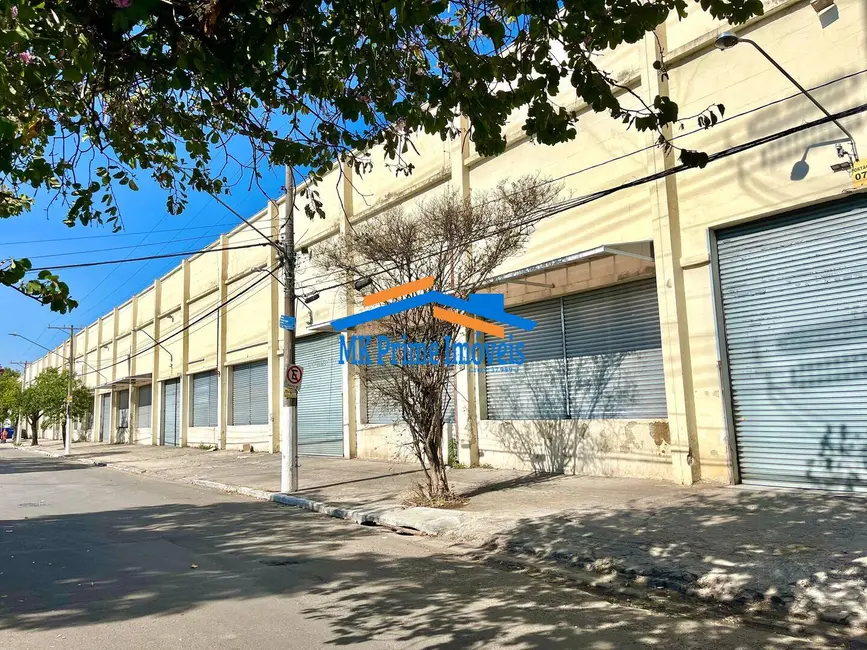 Foto 2 de Armazém / Galpão para alugar, 9507m2 em Vila Ribeiro de Barros, São Paulo - SP