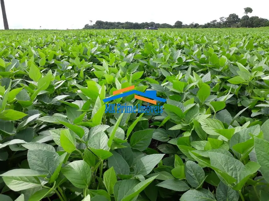 Foto 4 de Chácara à venda, 2000m2 em Nova Canaa Do Norte - MT