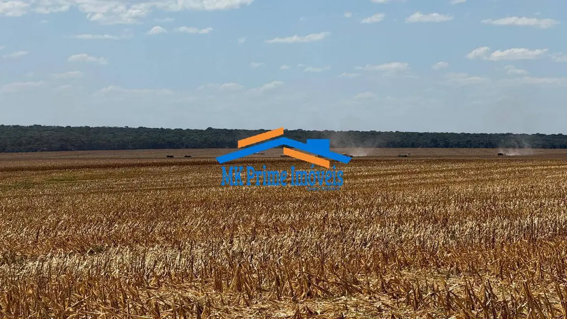 Fazenda / Haras à venda e para alugar, 1000m2 em Setor Comercial, Sinop - MT - imagem 4 Foto 4 de Fazenda / Haras à venda e para alugar, 1000m2 em Setor Comercial, Sinop - MT