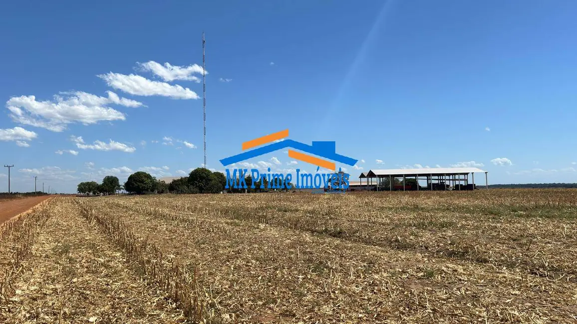 Fazenda / Haras à venda e para alugar, 1000m2 em Setor Comercial, Sinop - MT - imagem 9 Foto 9 de Fazenda / Haras à venda e para alugar, 1000m2 em Setor Comercial, Sinop - MT