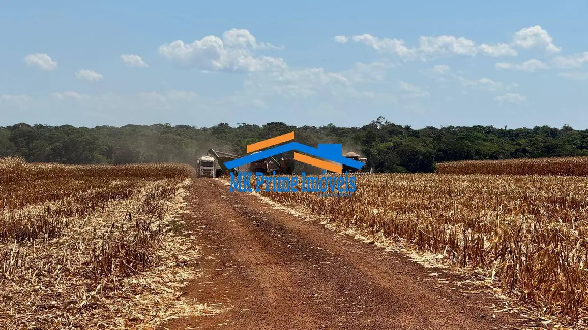 Fazenda / Haras à venda e para alugar, 1000m2 em Setor Comercial, Sinop - MT - imagem 8 Foto 8 de Fazenda / Haras à venda e para alugar, 1000m2 em Setor Comercial, Sinop - MT