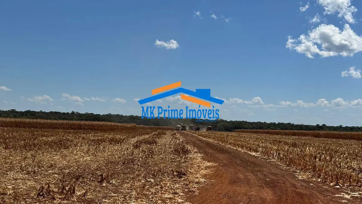 Fazenda / Haras à venda e para alugar, 1000m2 em Setor Comercial, Sinop - MT - imagem 7 Foto 7 de Fazenda / Haras à venda e para alugar, 1000m2 em Setor Comercial, Sinop - MT